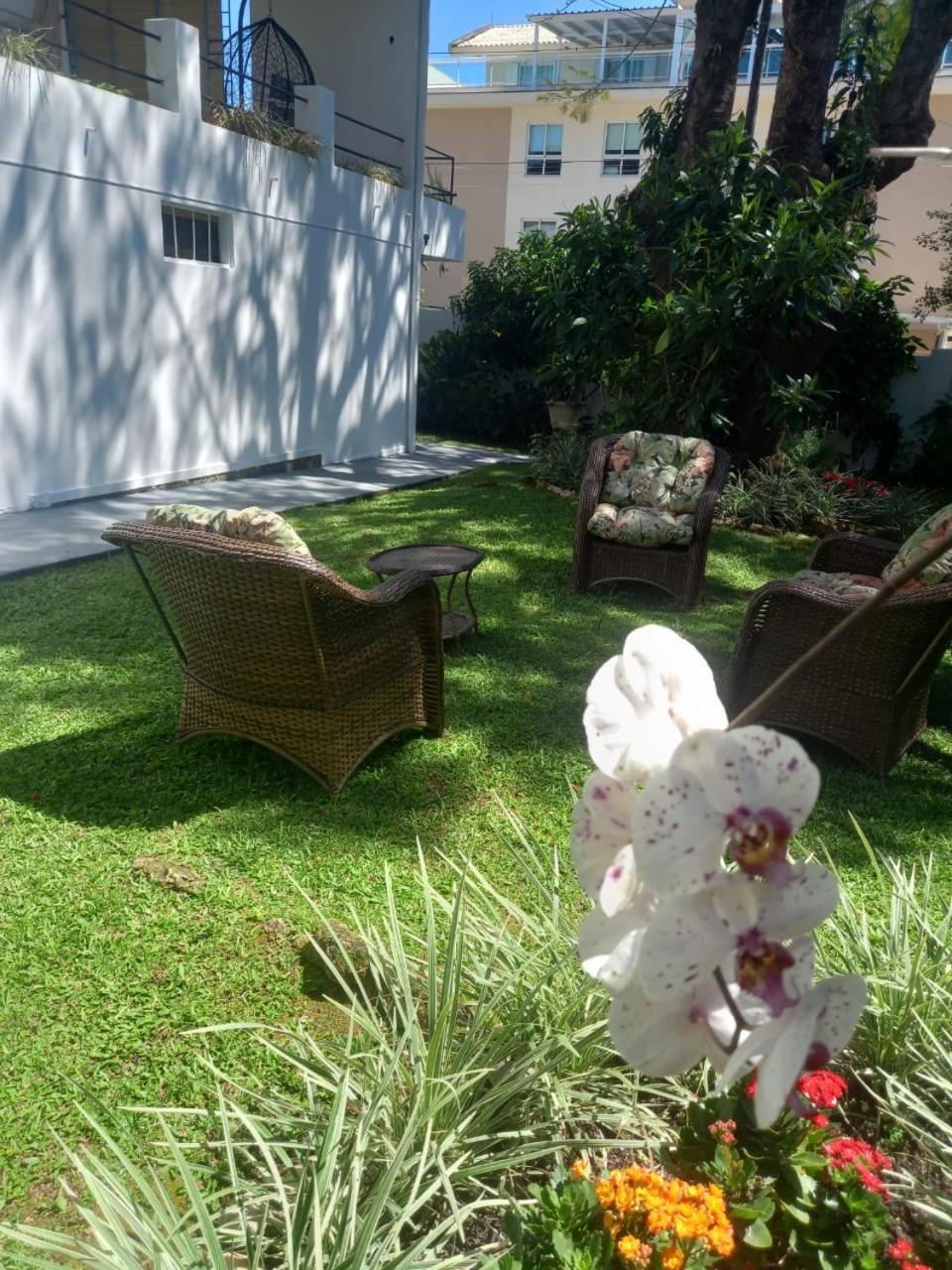 A Primeira Vista — Fotos 3