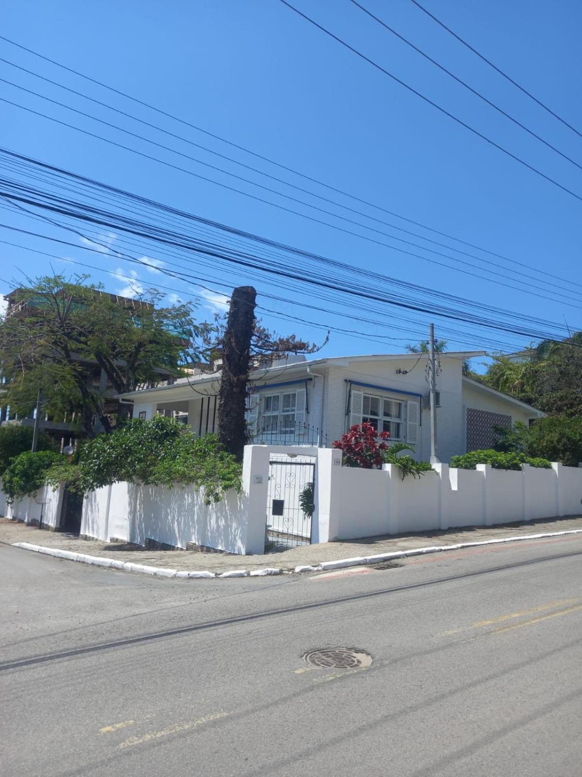 A Primeira Vista — Fotos 2